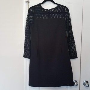 Eliza J Black Longsleeve Shift Dress with Pockets
